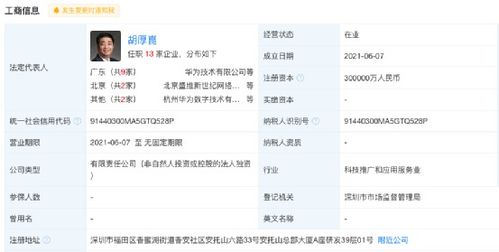 狂砸30億，華為大舉進軍數字能源 副董事長掛帥，新能源車技術成攻堅重點